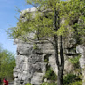 Meet your Posher, Mia